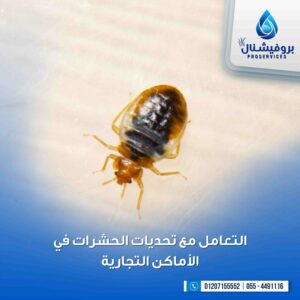 بروفيشنال سيرفس: شركة مكافحة حشرات للتخلص من البق 01207155552