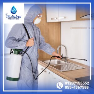 بروفيشنال سيرفيس : كيف تحمي مطعمك من الآفات؟01207155552